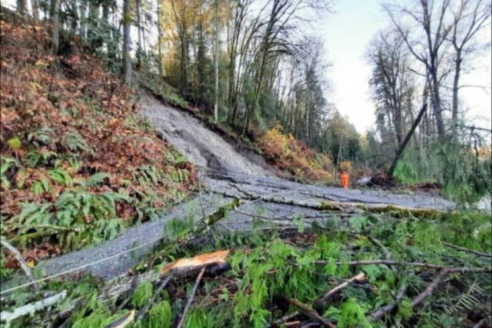 Allenby Road will be closed from March 9 to 13 for the removal of trees ahead of a more permanent fix to the bank alongside the roadway. (Citizen file photo)